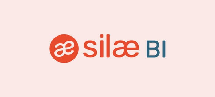 business intelligence silae