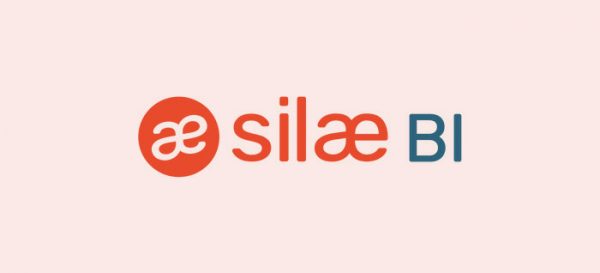 Silae BI en avant première chez Paybee
