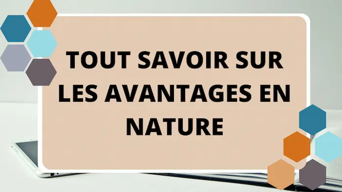 avantages en nature