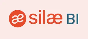 webinaire silae bi